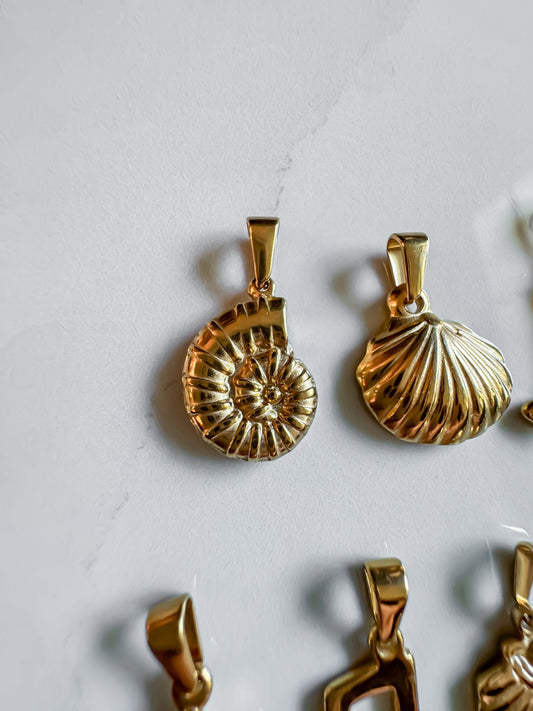 Sundial shell pendant