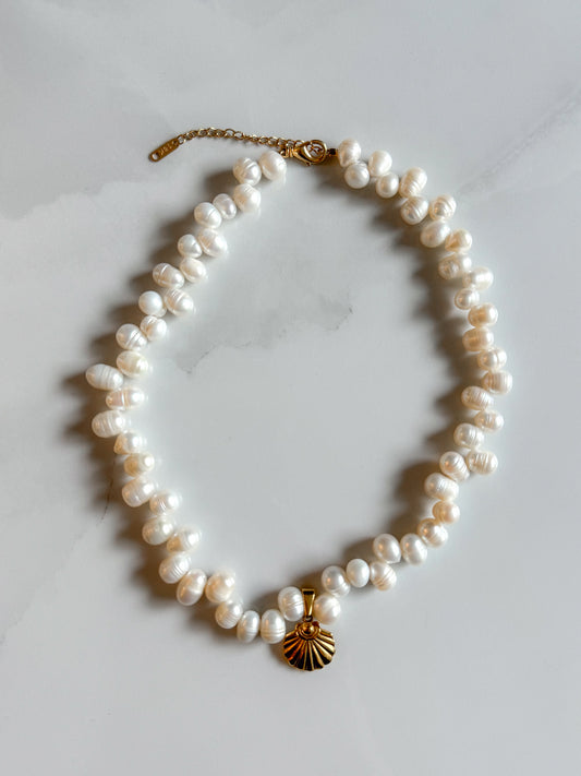 Pearly Shell Necklace