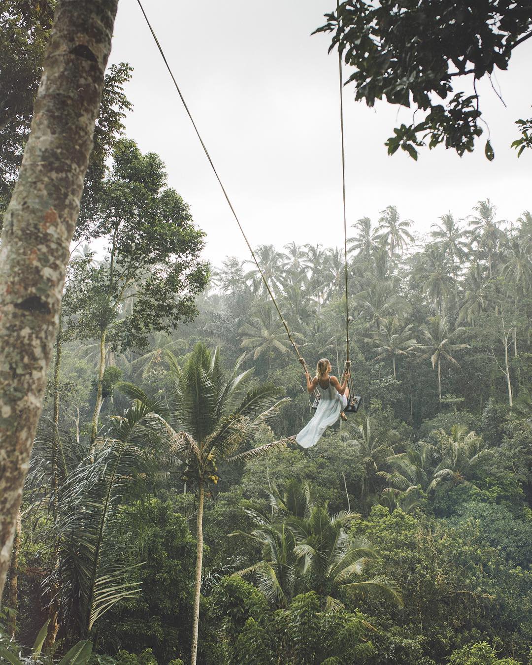 Bali swing travel vlog